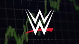 generic-wwe-investor3.jpg