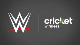 wwe-cricket.jpg