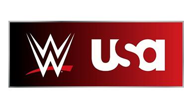 wwe-usa-logo.jpg